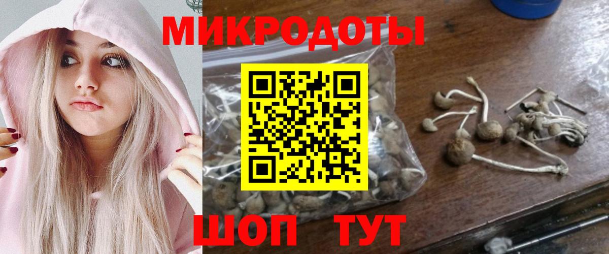 Псилоцибиновые грибы мицелий  купить   Галлюциногенные грибы Psilocybine cubensis  Можайск  Вход с VPN 