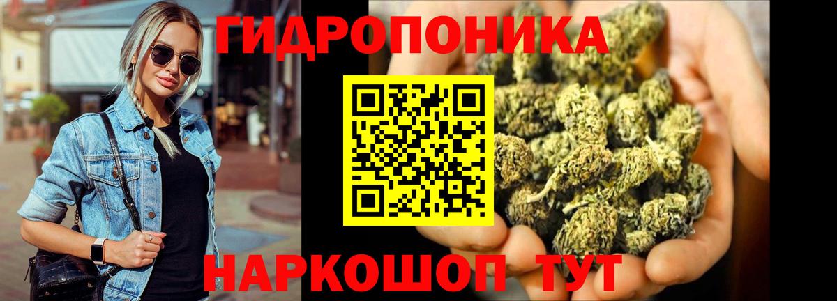 Бошки марихуана Bruce Banner  Вход с VPN  Можайск  Марихуана конопля 